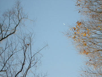 1209a1.JPG