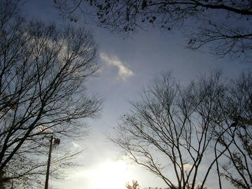 1209a2.JPG