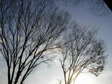 1209a3.JPG