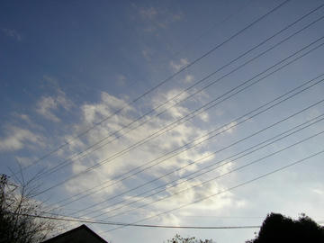 1209a6.JPG
