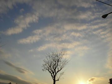 0118a1.JPG
