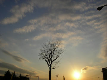 0118a2.JPG