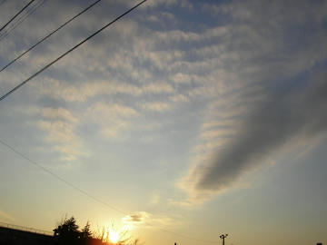 0118a3.JPG