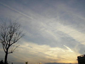 0119s1.JPG