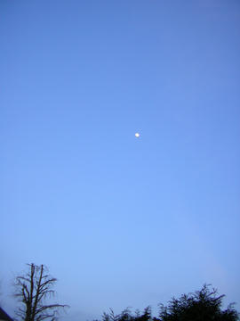 0119s2.JPG