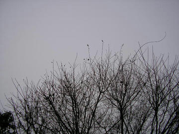 0121s1.JPG