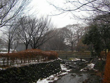 0123i1.JPG