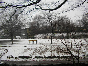 0123i2.JPG