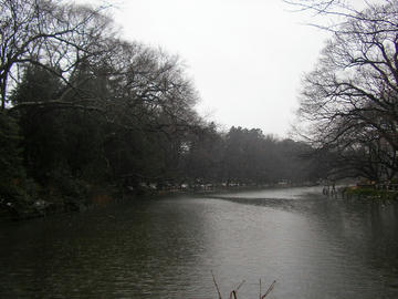 0123i3.JPG