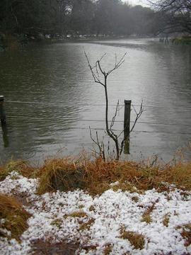 0123i4.JPG