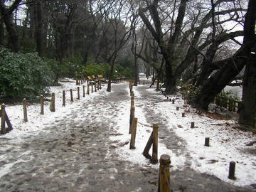 0123i5.JPG