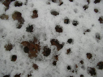 0123i8.JPG