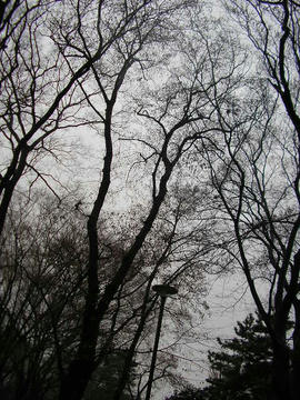 0123s1.JPG