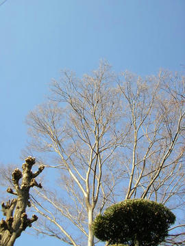 080207s1.JPG