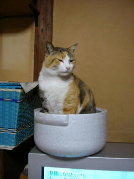 080210c1.JPG