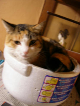 080210c2.JPG