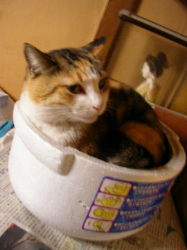080210c3.JPG