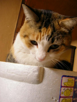 080210c4.JPG