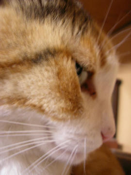 080210n3.JPG