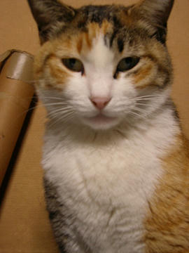 080209c2.JPG
