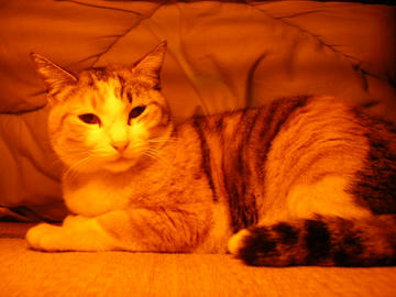 080209c3.JPG