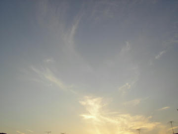 080221s2.JPG