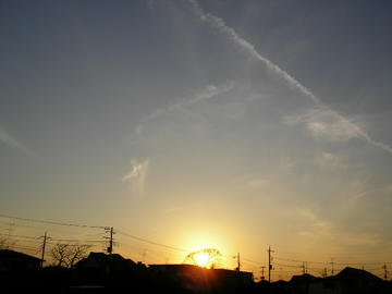 080221s3.JPG