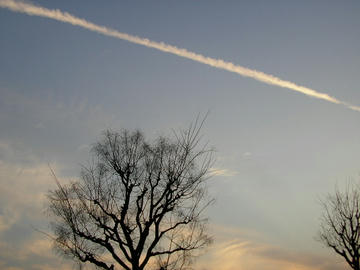 080222s2.JPG
