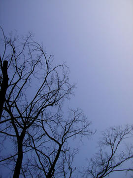 080301s1.JPG