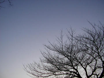 080301s2.JPG
