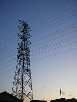 080301s3.JPG