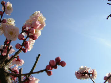 080311u1.JPG