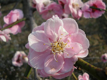 080311u2.JPG
