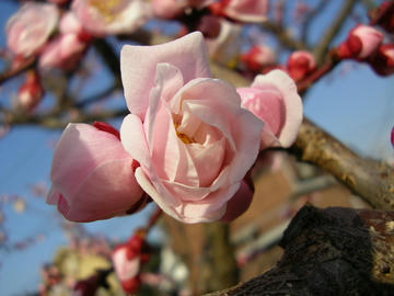 080311u4.JPG