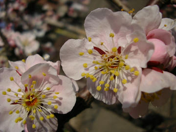 080311u5.JPG