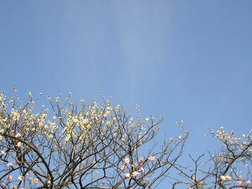 080311s2.JPG