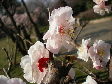 080311h1.JPG