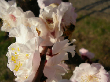080311h2.JPG