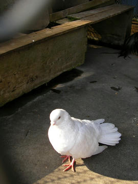 080311t3.JPG