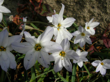 080317h1.JPG