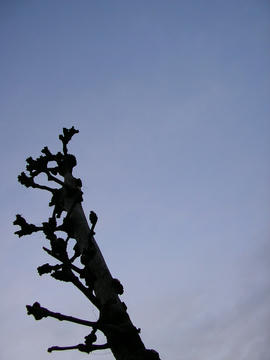 080324s2.JPG