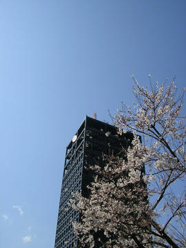 080326s1.JPG