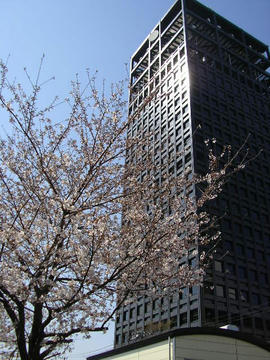 080326s2.JPG