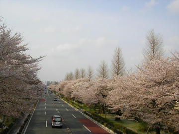 080404s2.JPG