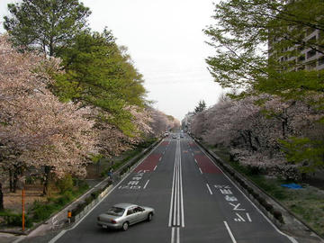 080404s3.JPG