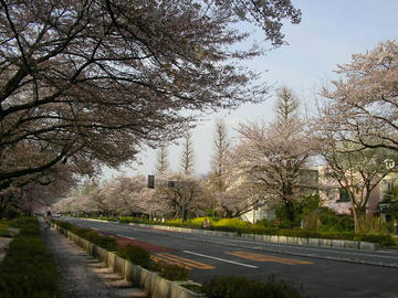 080404s4.JPG