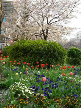 080404h1.JPG