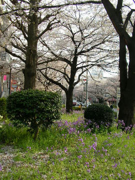 080404h5.JPG