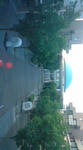 8443b745.jpg