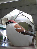 huge-sparrow